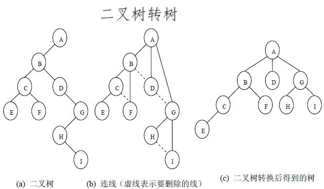 二叉树转树