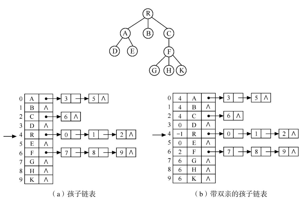 树的孩子表示法