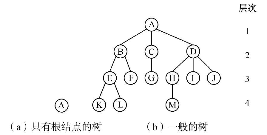 树的示例