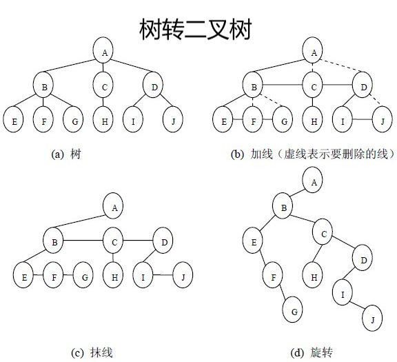 树转二叉树